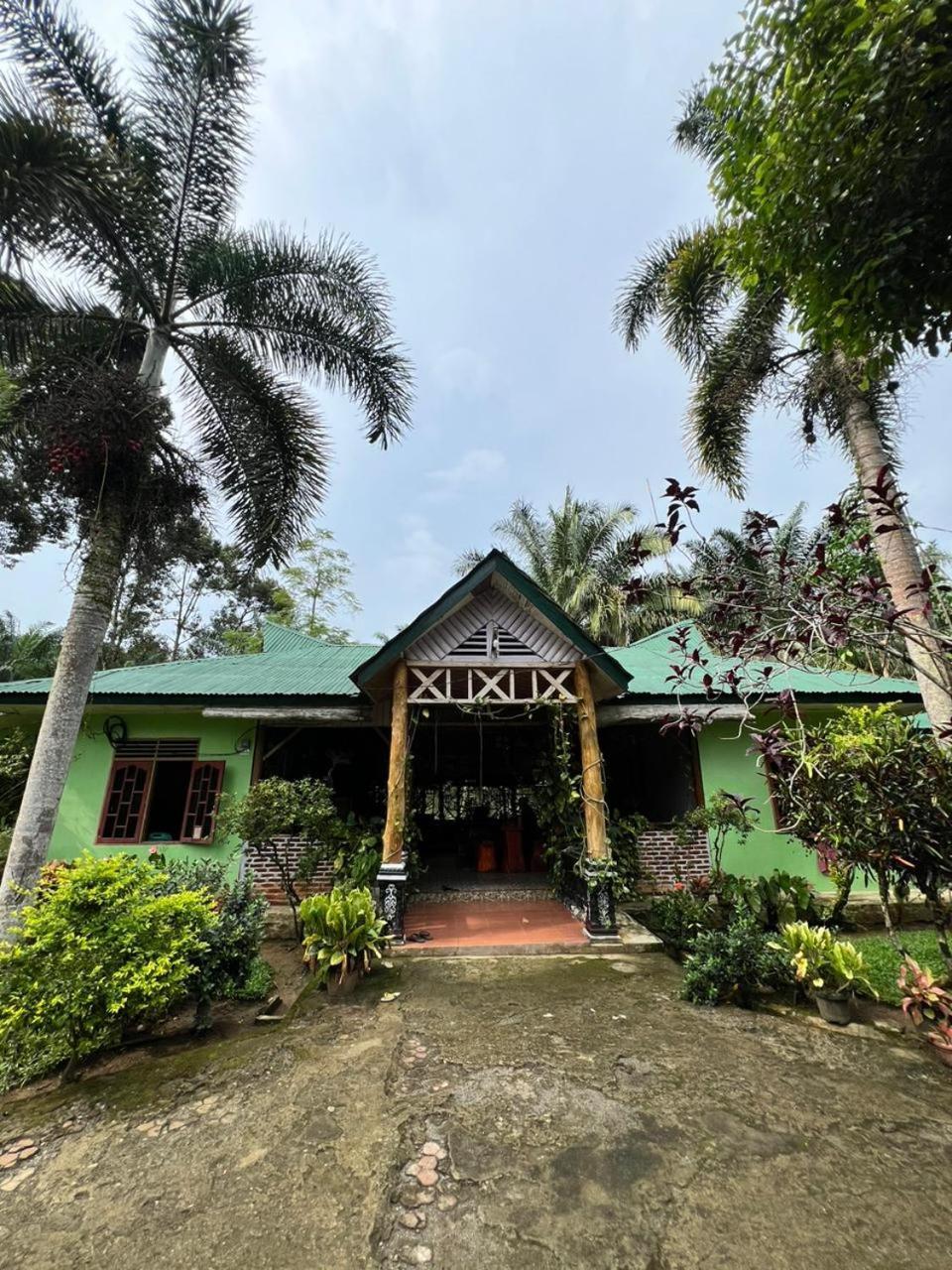 Wisma Batu Mandi Bukit Lawang Esterno foto