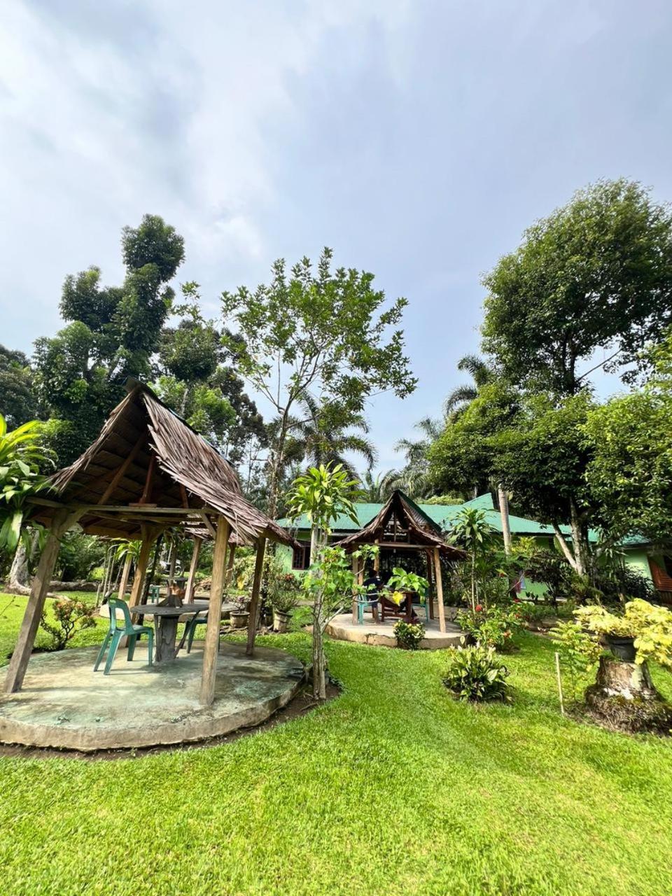 Wisma Batu Mandi Bukit Lawang Esterno foto