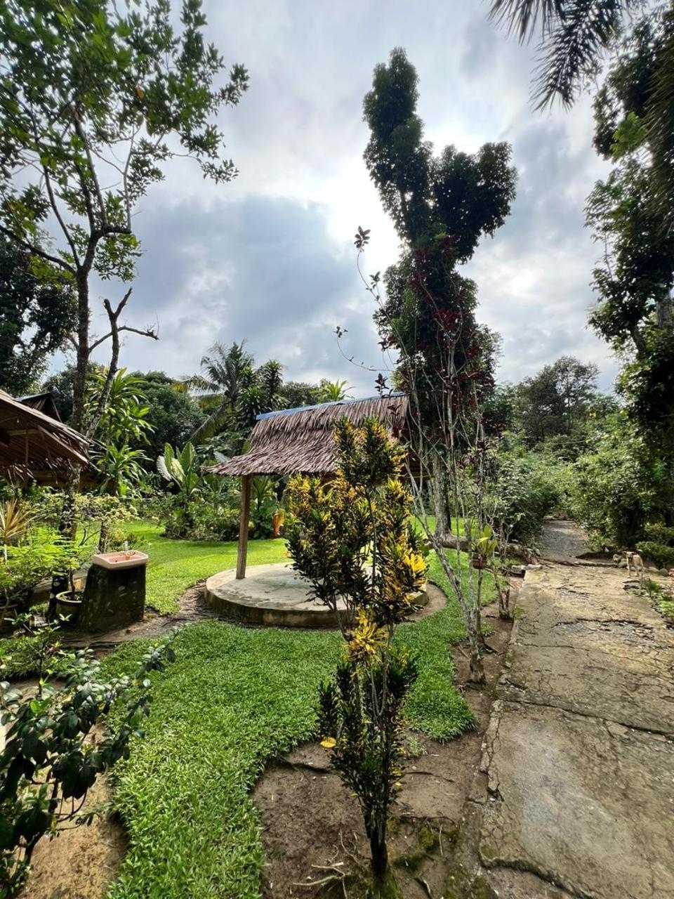 Wisma Batu Mandi Bukit Lawang Esterno foto
