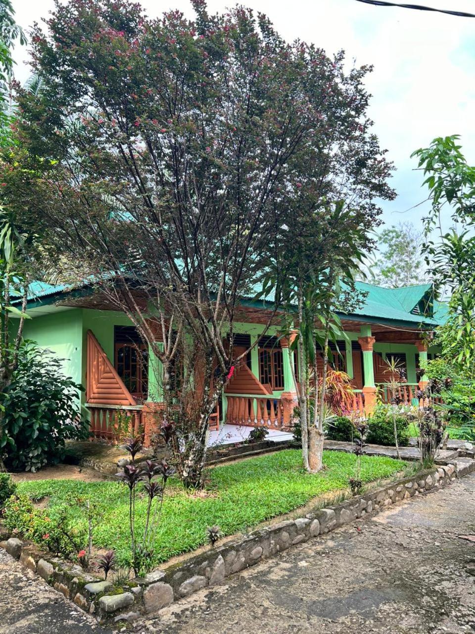 Wisma Batu Mandi Bukit Lawang Esterno foto