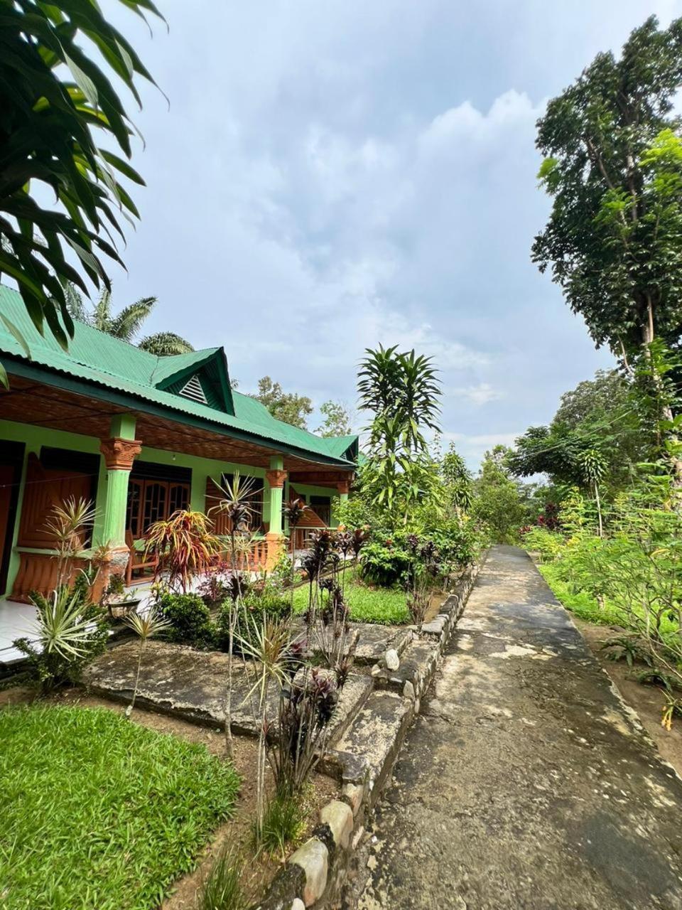 Wisma Batu Mandi Bukit Lawang Esterno foto