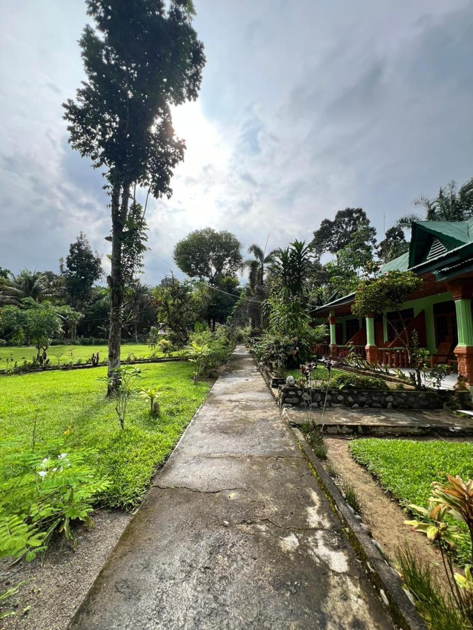 Wisma Batu Mandi Bukit Lawang Esterno foto