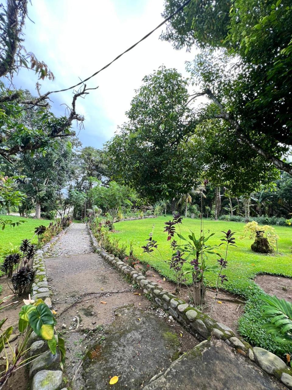 Wisma Batu Mandi Bukit Lawang Esterno foto