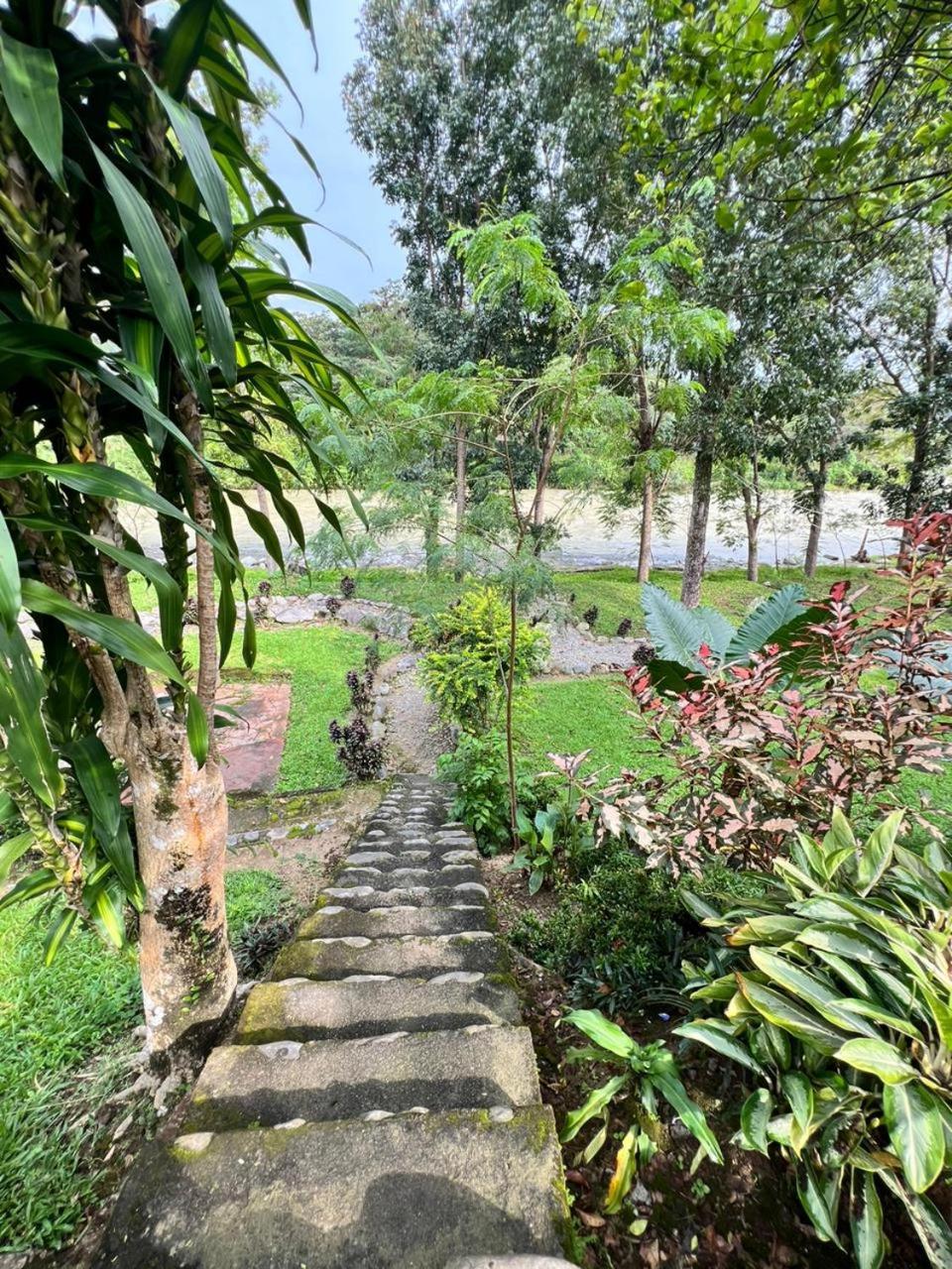 Wisma Batu Mandi Bukit Lawang Esterno foto