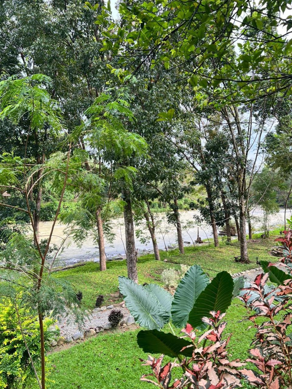 Wisma Batu Mandi Bukit Lawang Esterno foto