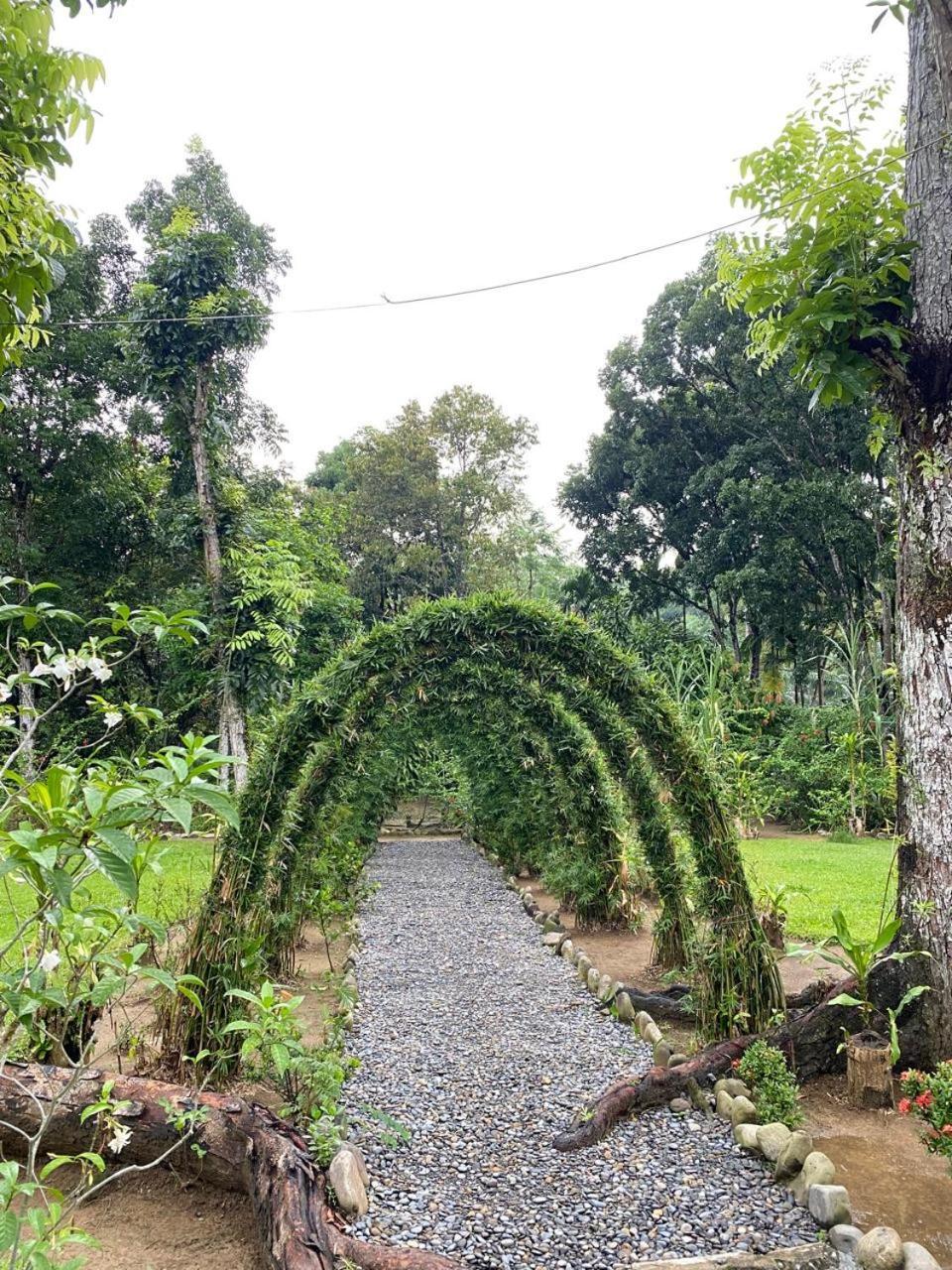 Wisma Batu Mandi Bukit Lawang Esterno foto