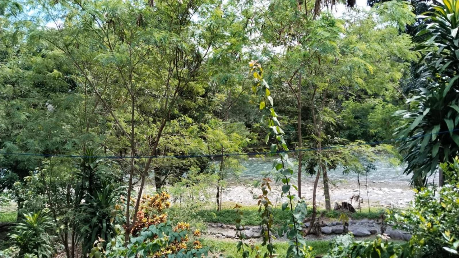 Wisma Batu Mandi Bukit Lawang Esterno foto